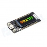 Placa ESP32 TTGO T-Display 1.14”
