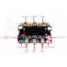 Placa amplificadora de audio XH-M139