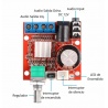 Placa amplificadora de audio PAM8610