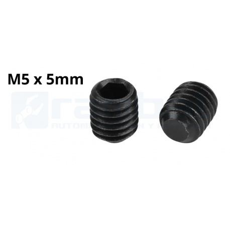 Tornillos M5 x 5mm Punta Allen