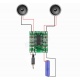 Módulo Amplificador de Audio PAM 8403