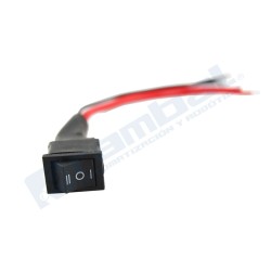 Interruptor de Inversion de 10A-20A