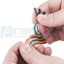 Cable Doble Macho 20cm