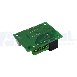 Termostato con Sonda Programable
