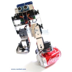 BIPEDUS-04