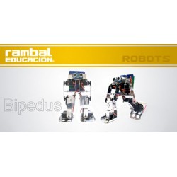 BIPEDUS-04