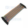 Cable dupont 20 cms (hembra-hembra)