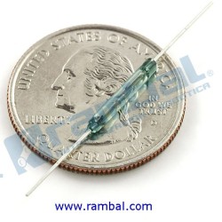 Reed Switch (Interruptor)