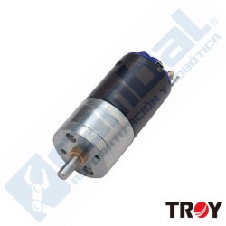 Motor Reductor marca Troy modelo Luxor 25GA37 12V 116rpm