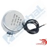 Motor Corriente Alterna TYC-50 220VAC 5rpm